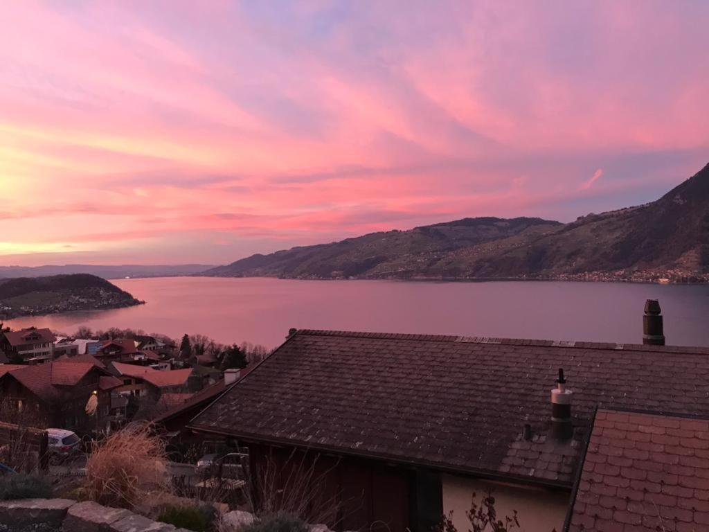 Moderne Unterkunft mit Panoramablick auf Thunersee Krattigen Exterior foto
